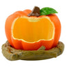 Wild Pumpkin Shaped Pet Feeders Bowl