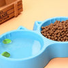 Cat Pet Feed Double Plastic Rounded Bowl