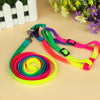 Lovely Colorful Rainbow Walking Harness Leash For Pet