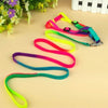 Lovely Colorful Rainbow Walking Harness Leash For Pet