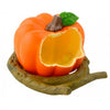 Wild Pumpkin Shaped Pet Feeders Bowl