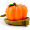 Wild Pumpkin Shaped Pet Feeders Bowl